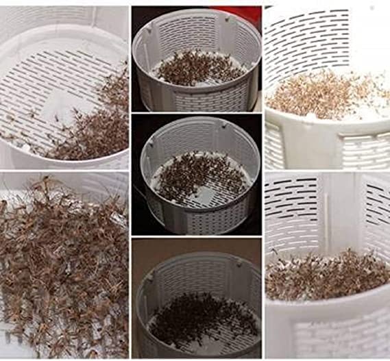 MosquitoGuard Pro 2.0: UV LED Mosquito Trap - Homie Mart